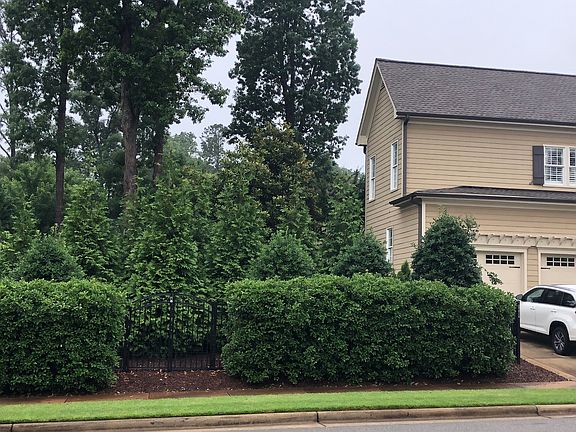 Backyard privacy from street