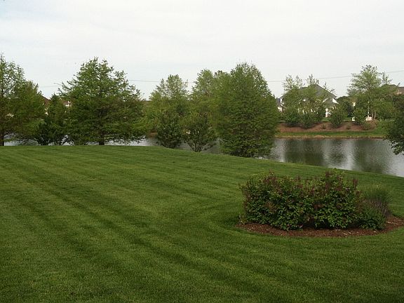 Back View Facing North