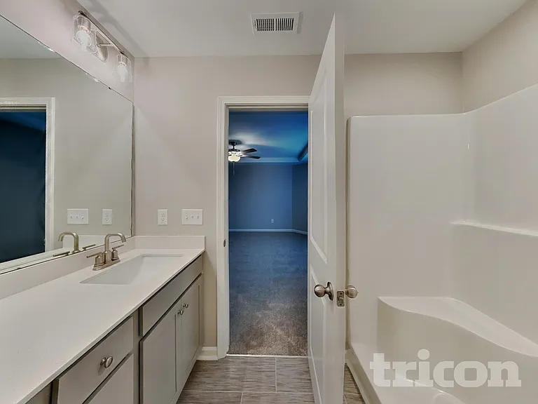 803 Springtooth Dr — Photo 7