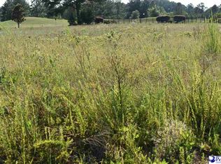 Governors Run Dr, Lamar, SC --