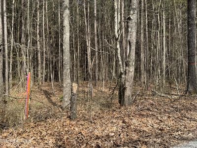 0 Sam Summers Rd, Rockwood, TN, 37854