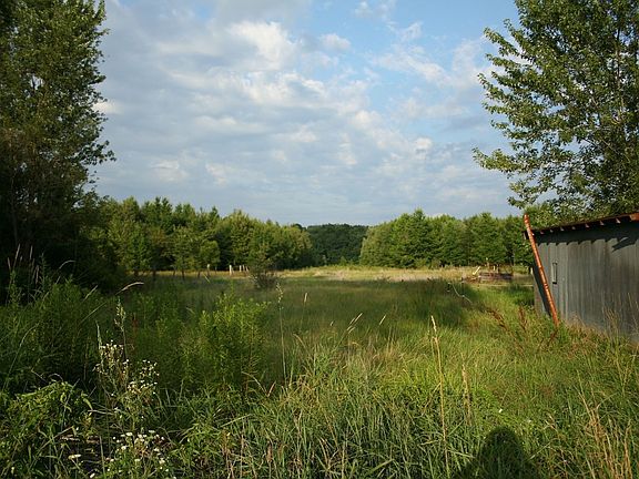 back half of 3 acre property