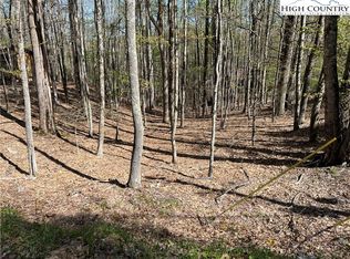 613 Pine Ridge Rd, Banner Elk, NC 28604