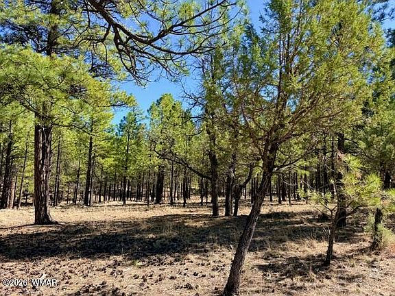 2nd image of 1947 Pine Canyon Dr