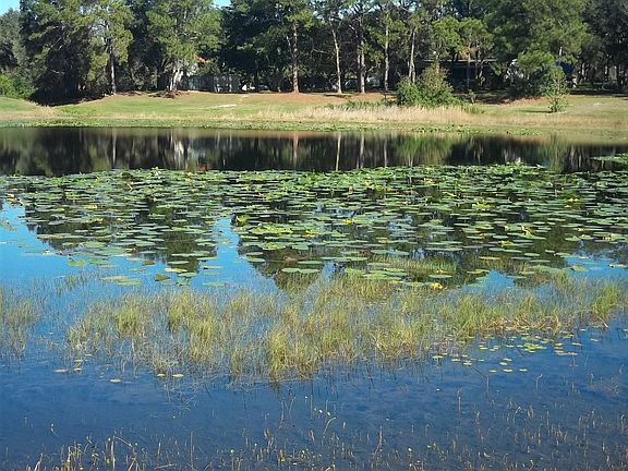 LAKE DOT, BACK YARD