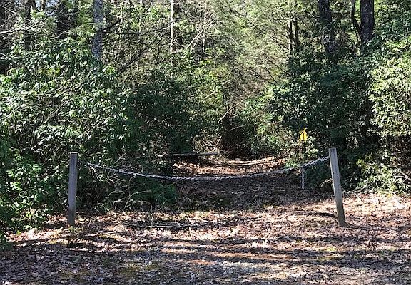 2nd image of White Pine Trl
