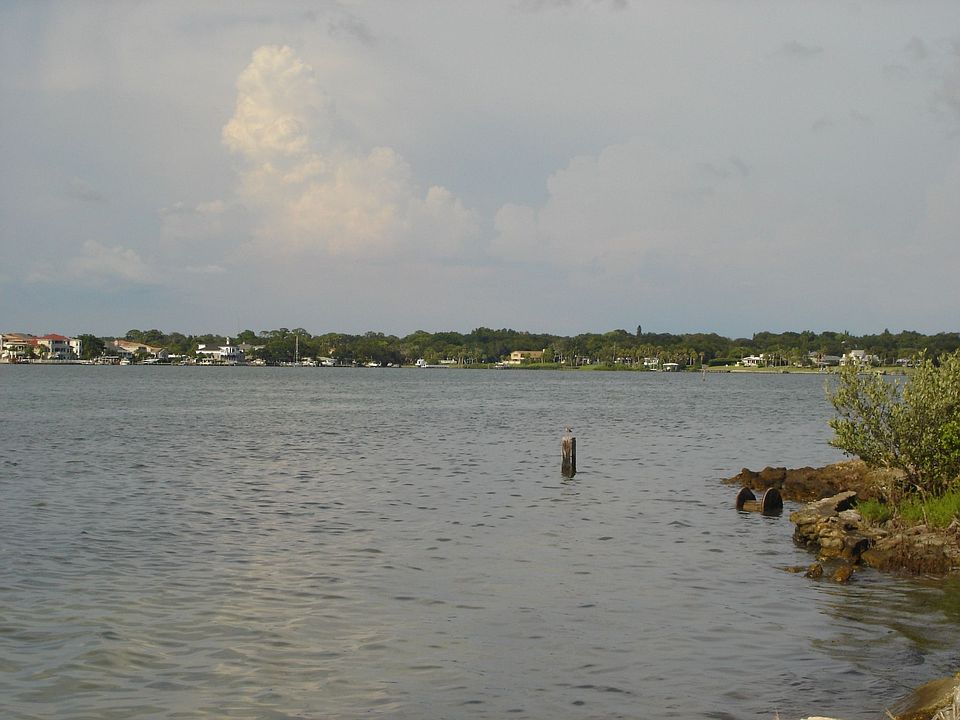 Short walk to Belleair Causeway