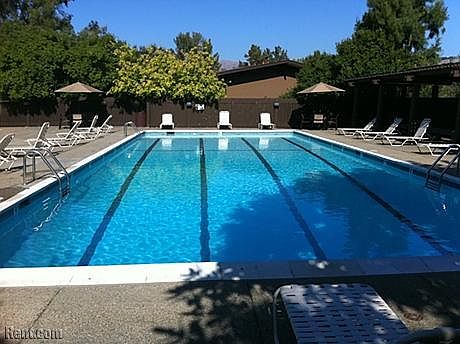 Pool Area - There are 3 Pools 1 Small for children