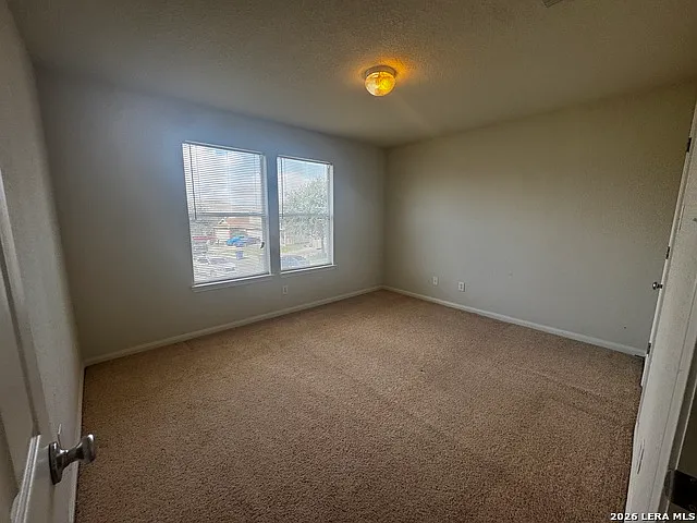 8834 Snow Goose — Photo 14
