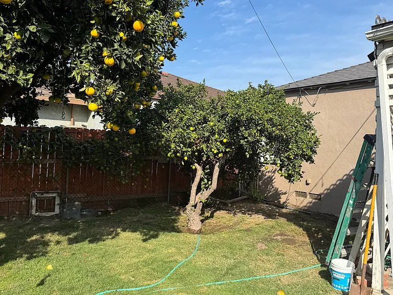 11827 Garfield Ave — Photo 19