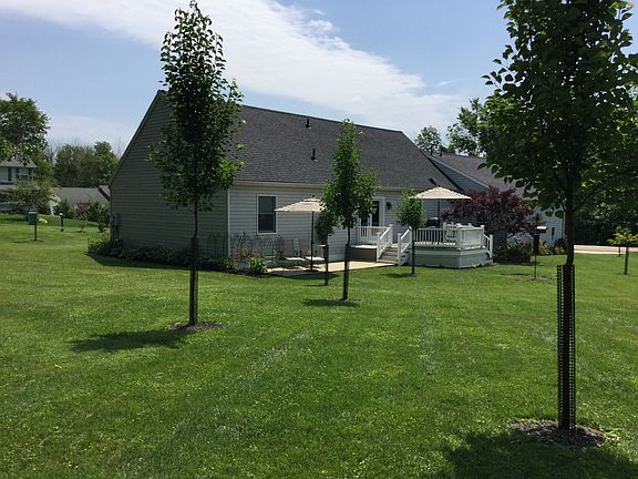 Rear patio & deck
