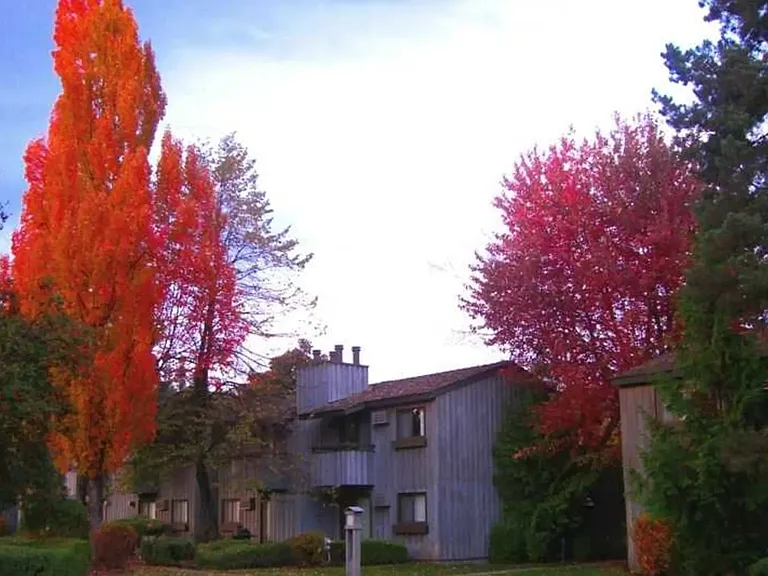 Lake Villa Apartments — Photo 36