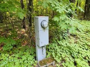 N8838 Spring Brook Rd, Gleason, WI 54435