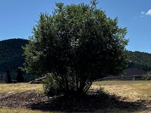 4th image of 16177 Lower Springs Rd