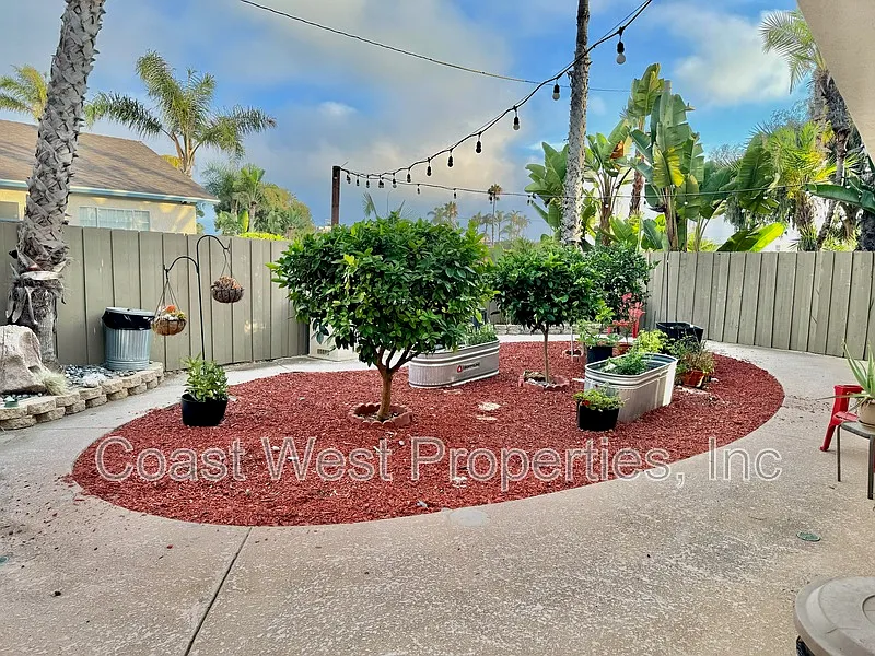 Mauna Loa Apartments — Photo 2