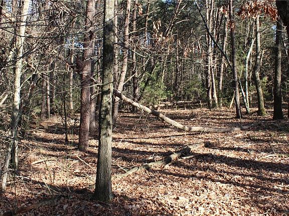 4th image of 0 Taylorsville Rd