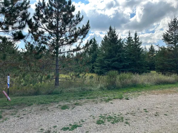 26787 Lidstrom Rd, Detroit Lakes, MN 56501