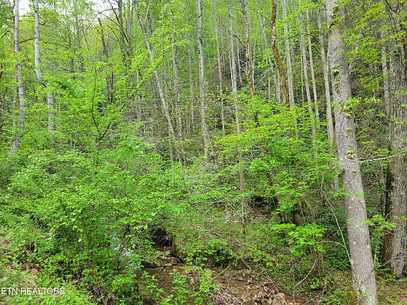 2nd image of LOT 45 Alpine Dr