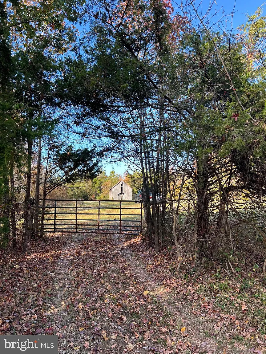 7500 Chicamuxen Rd photo 1