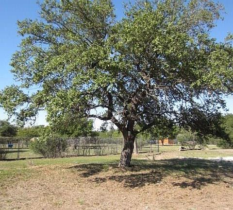 5th image of 436 County Road 3065