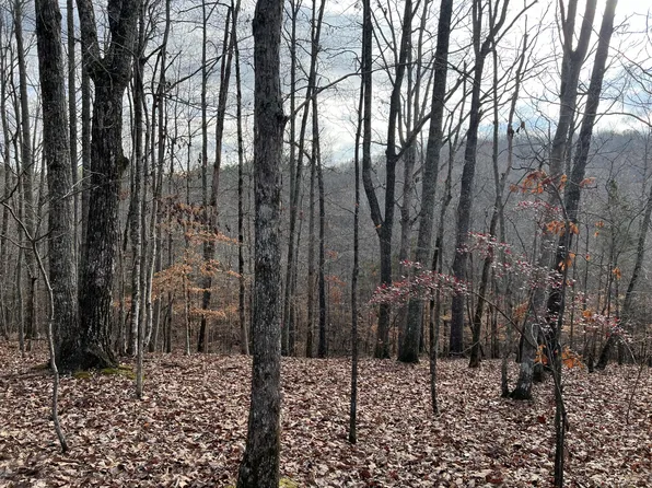 2164 County Road 188, Decatur, TN 37322