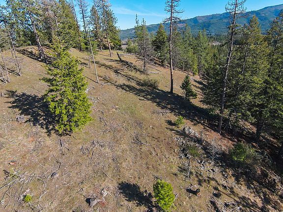 4th image of Nna Kacy Bear Ln Lot 3