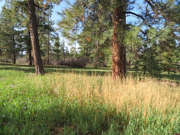 5th image of 468 Appaloosa Circle