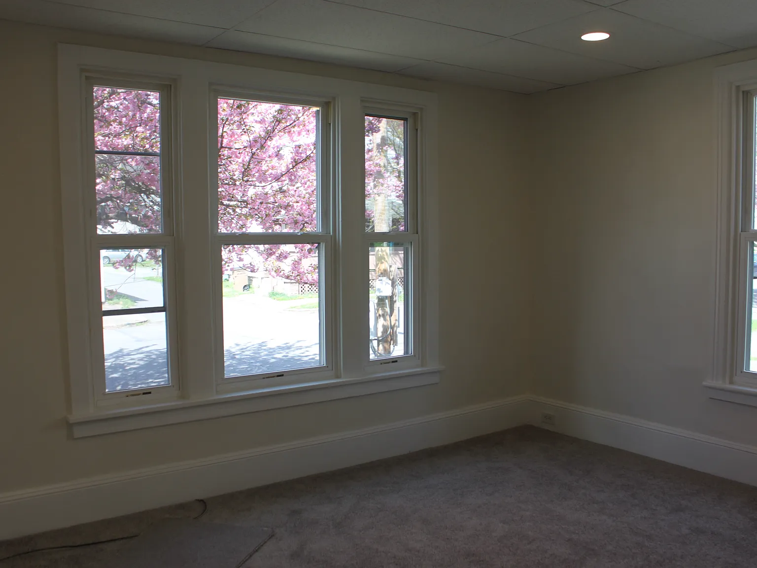 3 bed, 2436 sqft, $1,100 — Photo 3