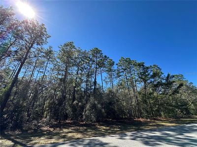 6096 W Ponderosa Pl #9, Beverly Hills, FL, 34465