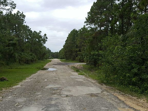3rd image of 771 Pinecastle Dr