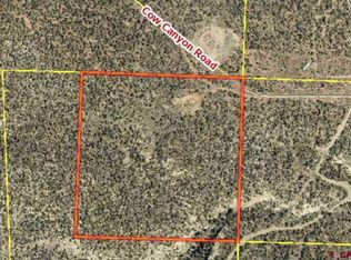 729 Cow Canyon Rd, Durango, CO 81301