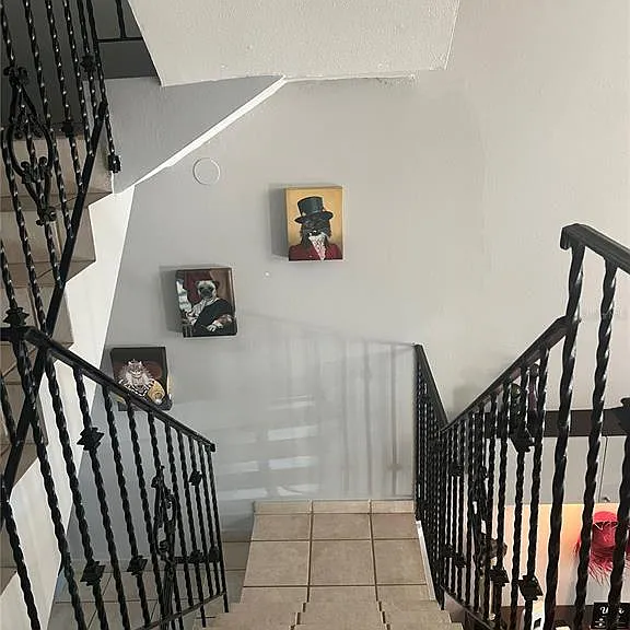 0 Albacora — Photo 10