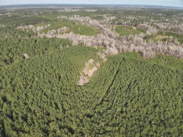 17-15-19 Frog Shack Rd, Stephens, AR 71764