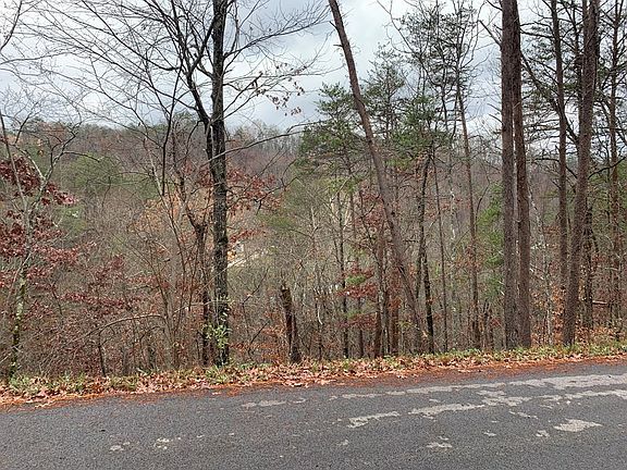 5th image of 29 Dogwood Dr Lot Pt29