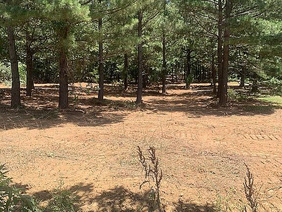 View across the street 