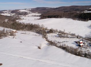 441 Beards Hollow Rd, Summit, NY 12149