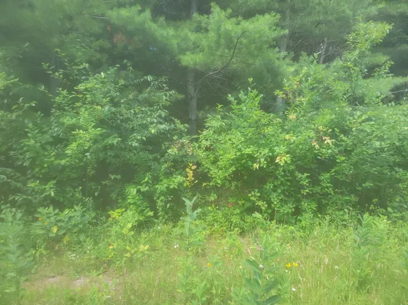 26-160 Spirit Lake Ln, Eagle River, WI 54521