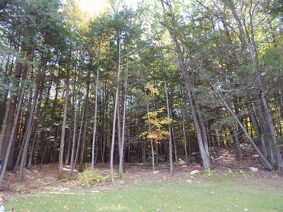 7 acres of wooded area