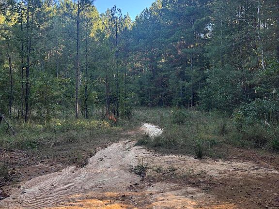 3rd image of Highway 25