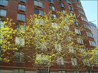 Rented by Brown Harris Stevens