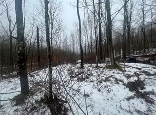 0 Five Mile Rd #4, Hinsdale, NY 14743