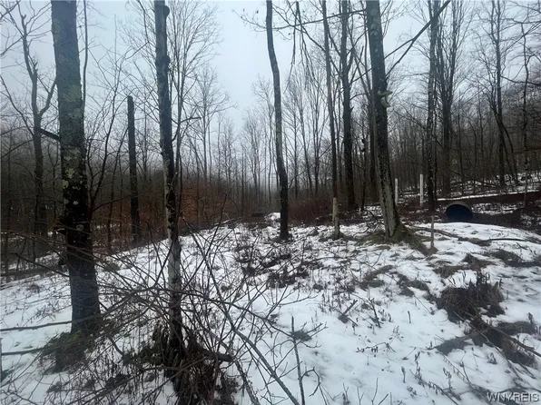 0 Five Mile Rd #4, Hinsdale, NY 14743