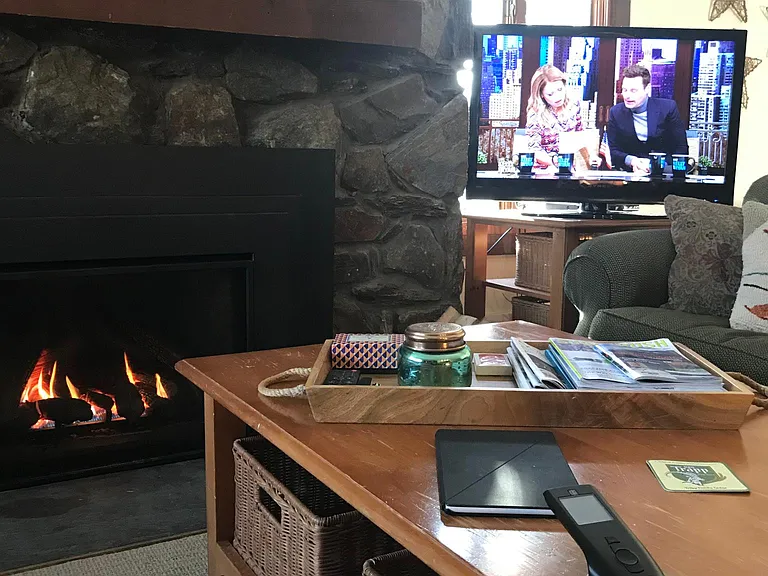Cozy gas fire with infrared remote control