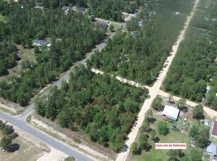 000 Chapman Plantation Rd, Jesup, GA 31545
