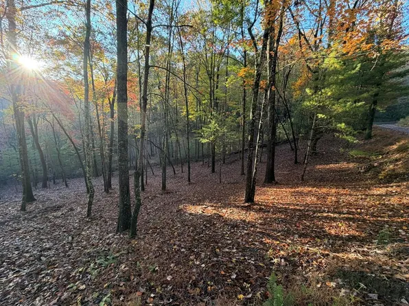 LOT-12A Oak Loop, Mineral Bluff, GA 30559