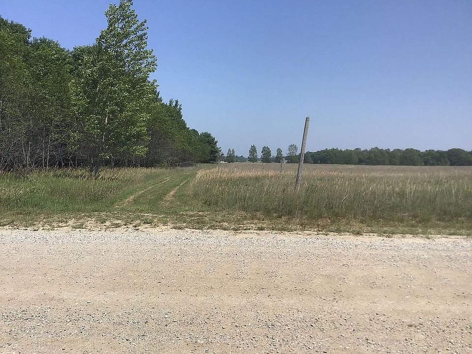Woods & field from Road  