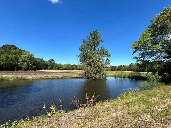 TBD Mount Olive Church Rd., Green Sea, SC 29545