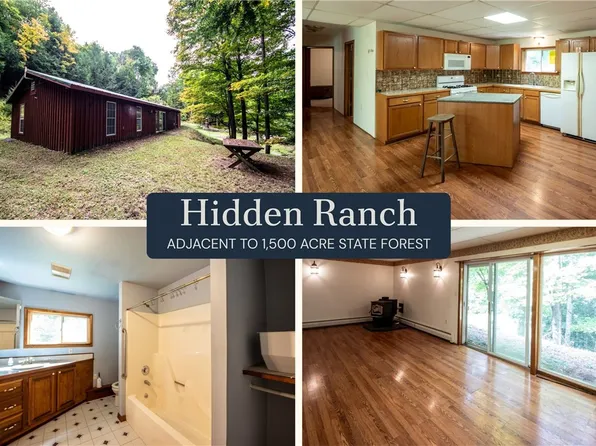 144 Joe Chamberlain Rd, Cherry Valley, NY 13320