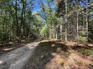 S Clay St LOT 19, Newaygo, MI 49337