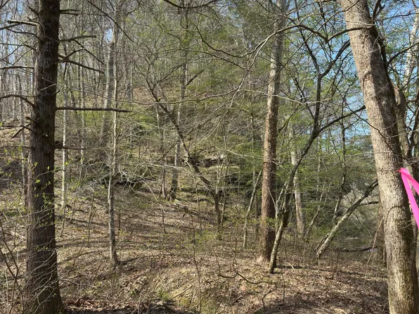 0 Seven Island Rd Lot 7, Danbury, NC 27016